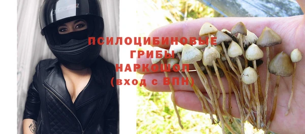 твердый Михайлов