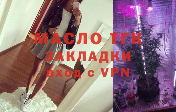 твердый Михайлов