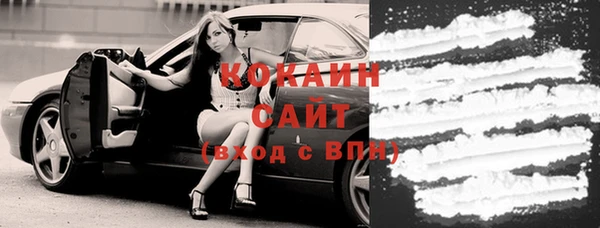 твердый Михайлов