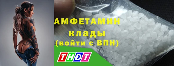 твердый Михайлов
