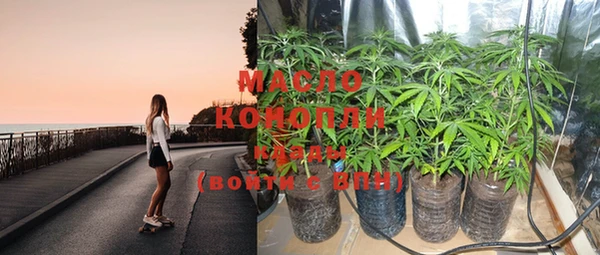 твердый Михайлов