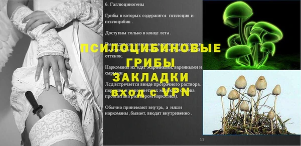 ALPHA PVP Михайловка