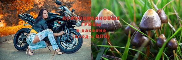 твердый Михайлов